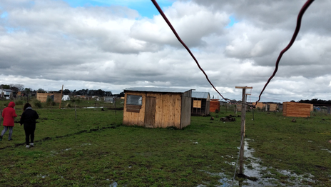 Un estudio de la UNLP revela que los parásitos intestinales siguen siendo un problema Un estudio de la UNLP revela que los parásitos intestinales siguen siendo un problema