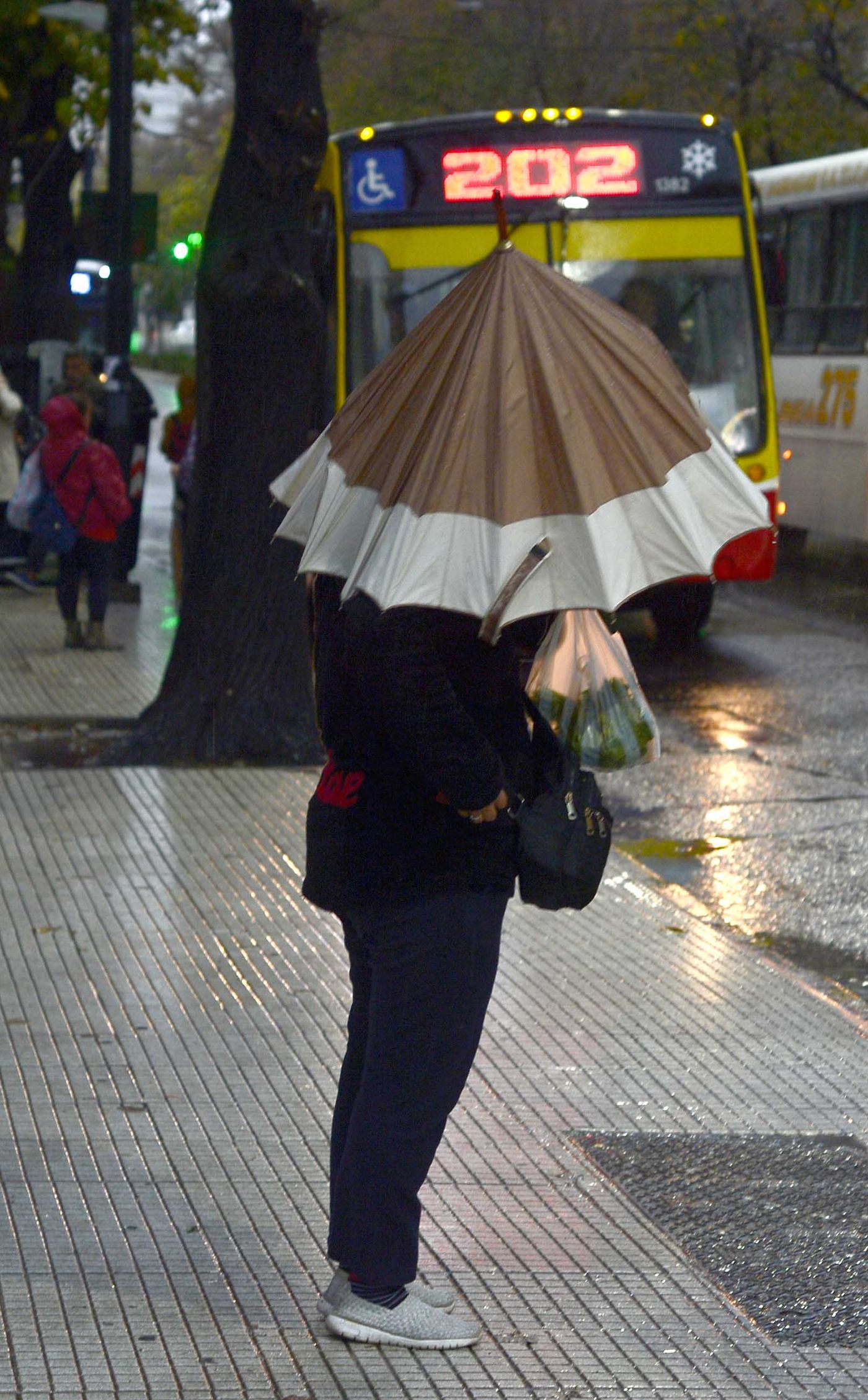 El Servicio Meteorol&oacute;gico Nacional anticipa un lunes gris, con lluvias y tormentas en La Plata