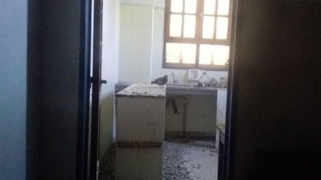 las impactantes fotos del interior de la escuela 5 que fue invadida por palomas