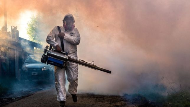 mas fumigacion y descacharreo: profundizan las acciones contra el dengue en la plata