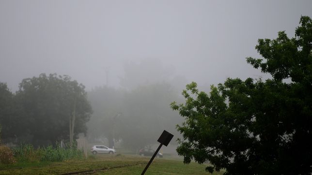 la semana termina en la plata con niebla y un viernes muy fresco, en la previa de una ola polar