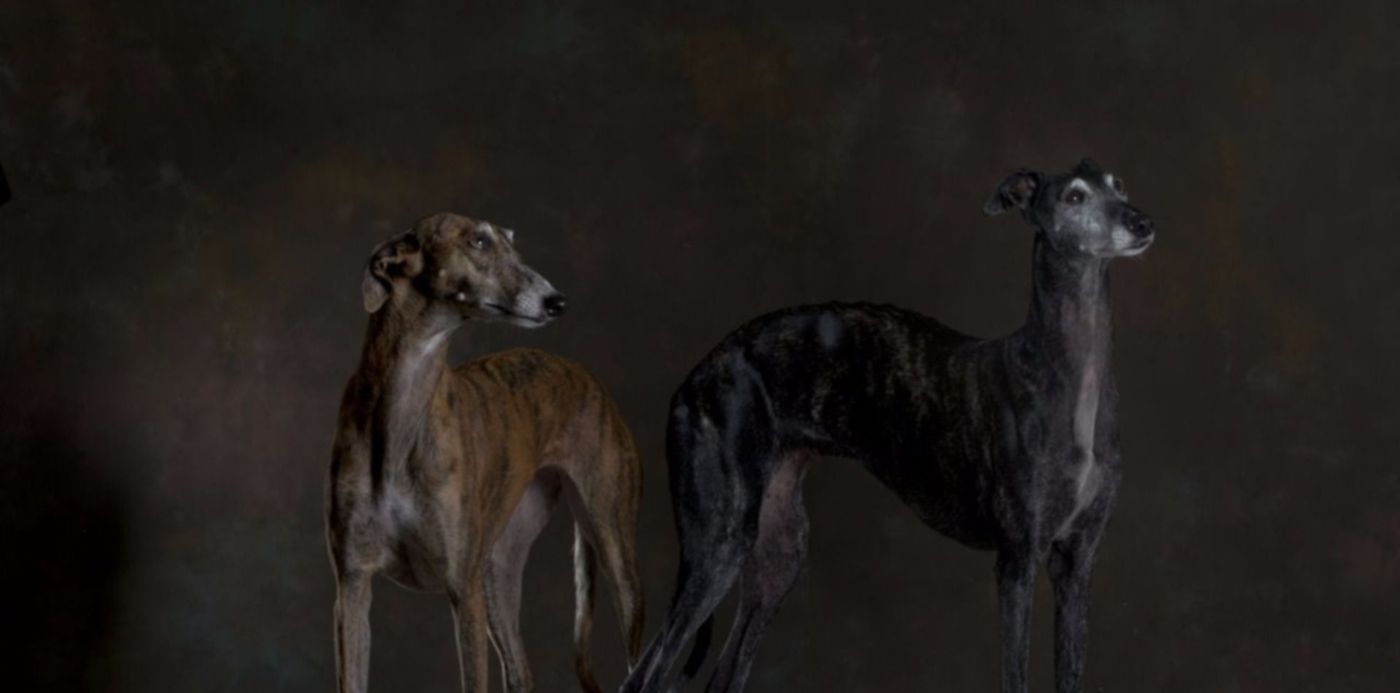 1576880039733.jpg?&cw=1920&ch=950