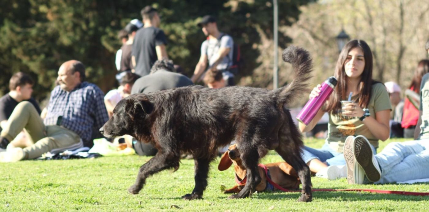 1632757333500.jpg?x=13&y=117&width=1487&height=743&rotate=0&scaleX=1&scaleY=1&ow=1500&oh=1000&&cw=1920&ch=950