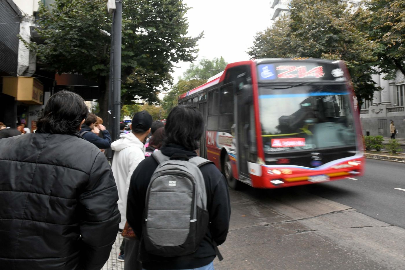 Micros colectivos (1)