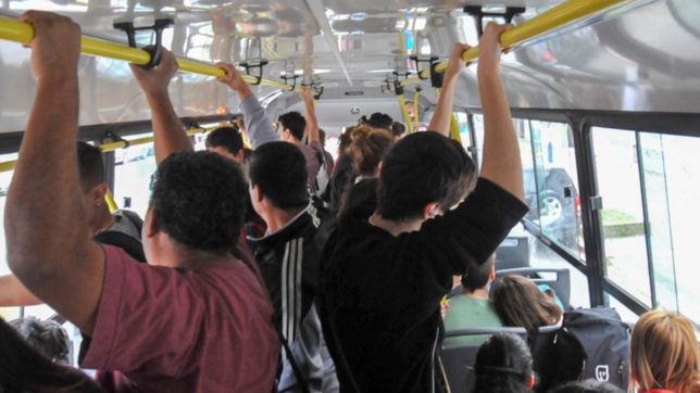 seccion por seccion, los nuevos valores de los boletos de micro en la plata