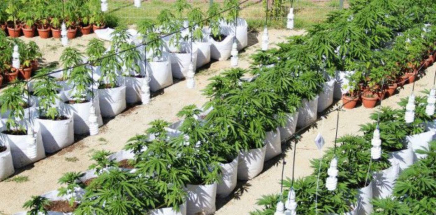 1557354942593.jpg?&cw=1920&ch=950