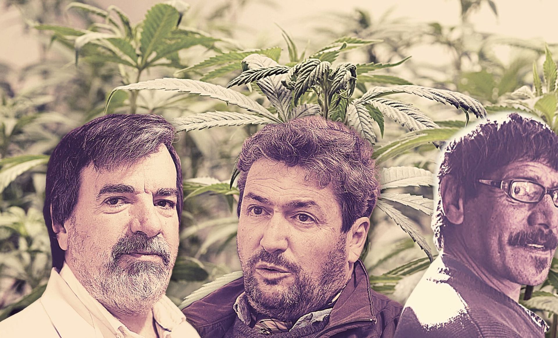 1651958676913.jpg?x=159&y=67&width=7715&height=3857&rotate=0&scaleX=1&scaleY=1&ow=8000&oh=3959&&cw=1920&ch=950