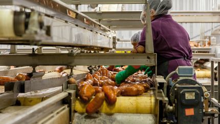 La Escuela San Vicente de Paul abrirá la Tecnicatura en Alimentos en 2026