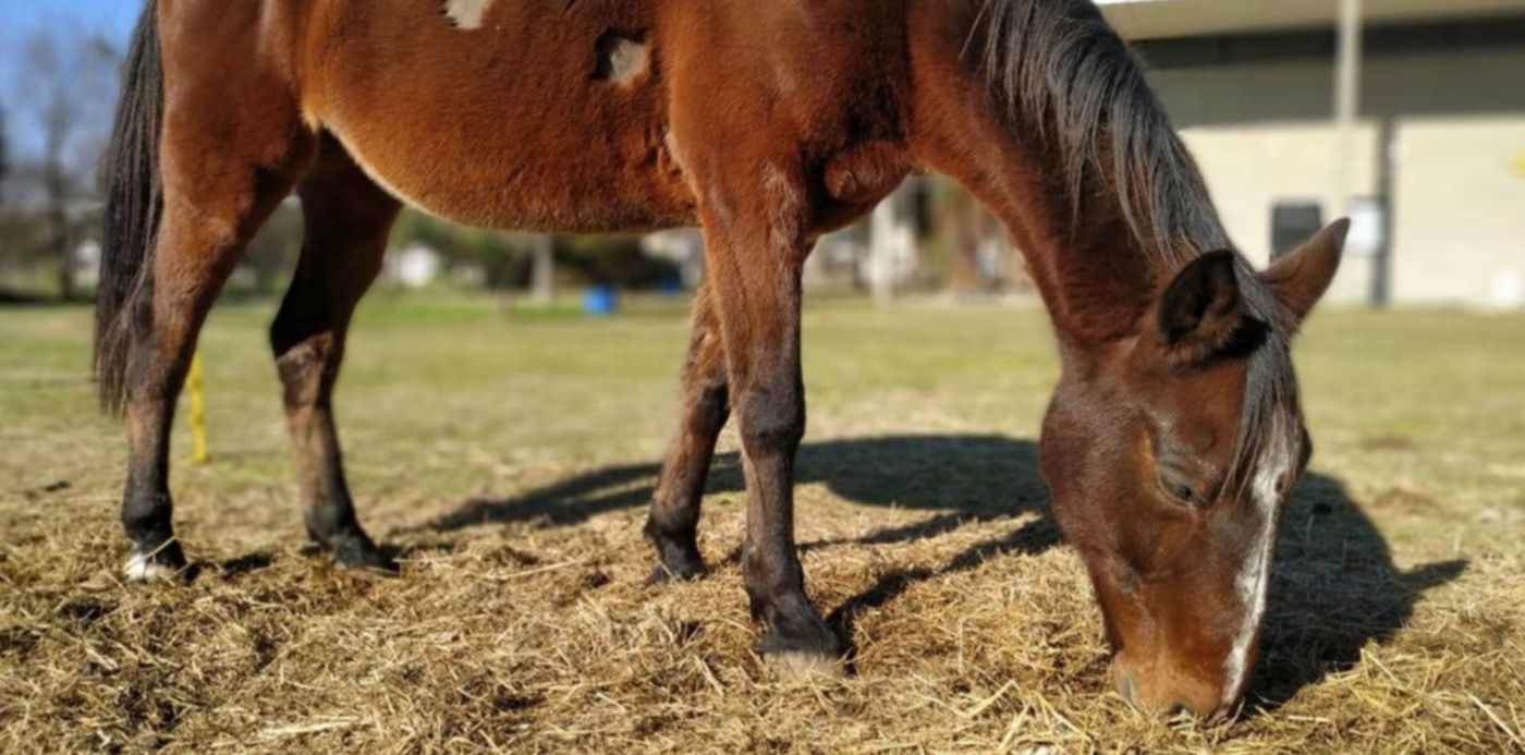 1562878404664.jpg?rotate=0&scaleX=1&ow=1280&y=198&height=634&scaleY=1&oh=960&x=6&width=1267&&cw=1920&ch=950