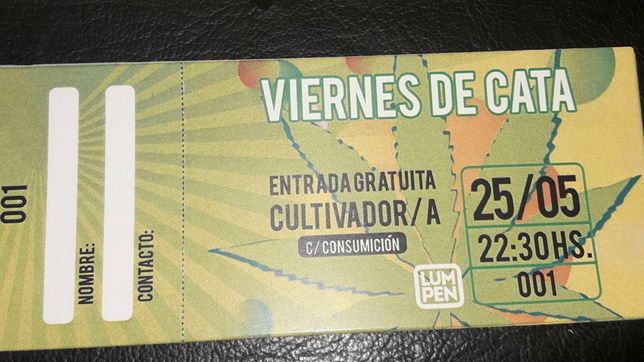 ¿efecto profesor botanico? requisas y tension en casa lumpen en medio de una cata cannabica
