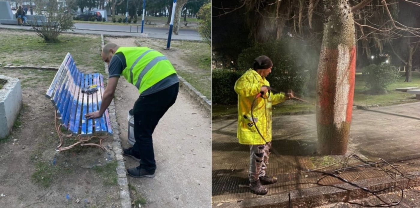 Limpieza del bosque después de los incidentes entre hinchas de Gimnasia y Estudiantes