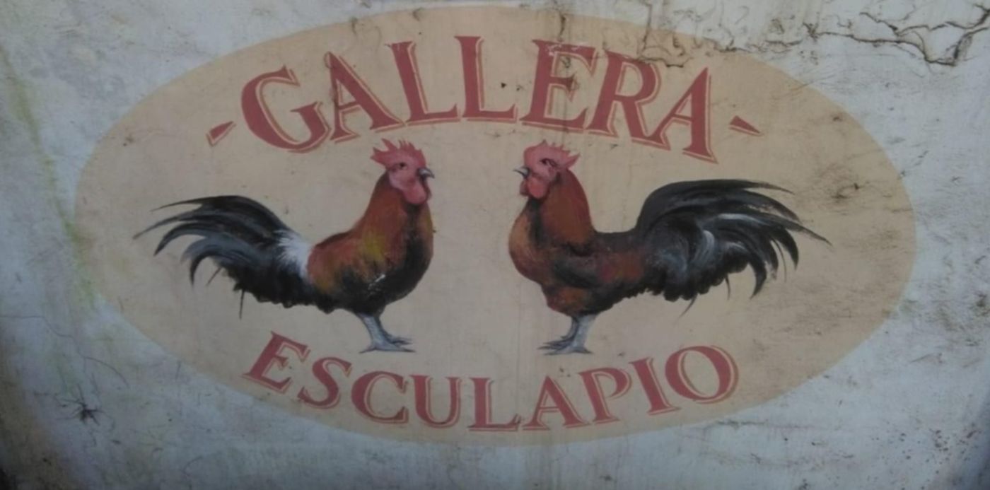 1567378249555.jpeg?width=1270&height=635&scaleY=1&ow=1280&x=3&y=323&rotate=0&scaleX=1&oh=960&&cw=1920&ch=950