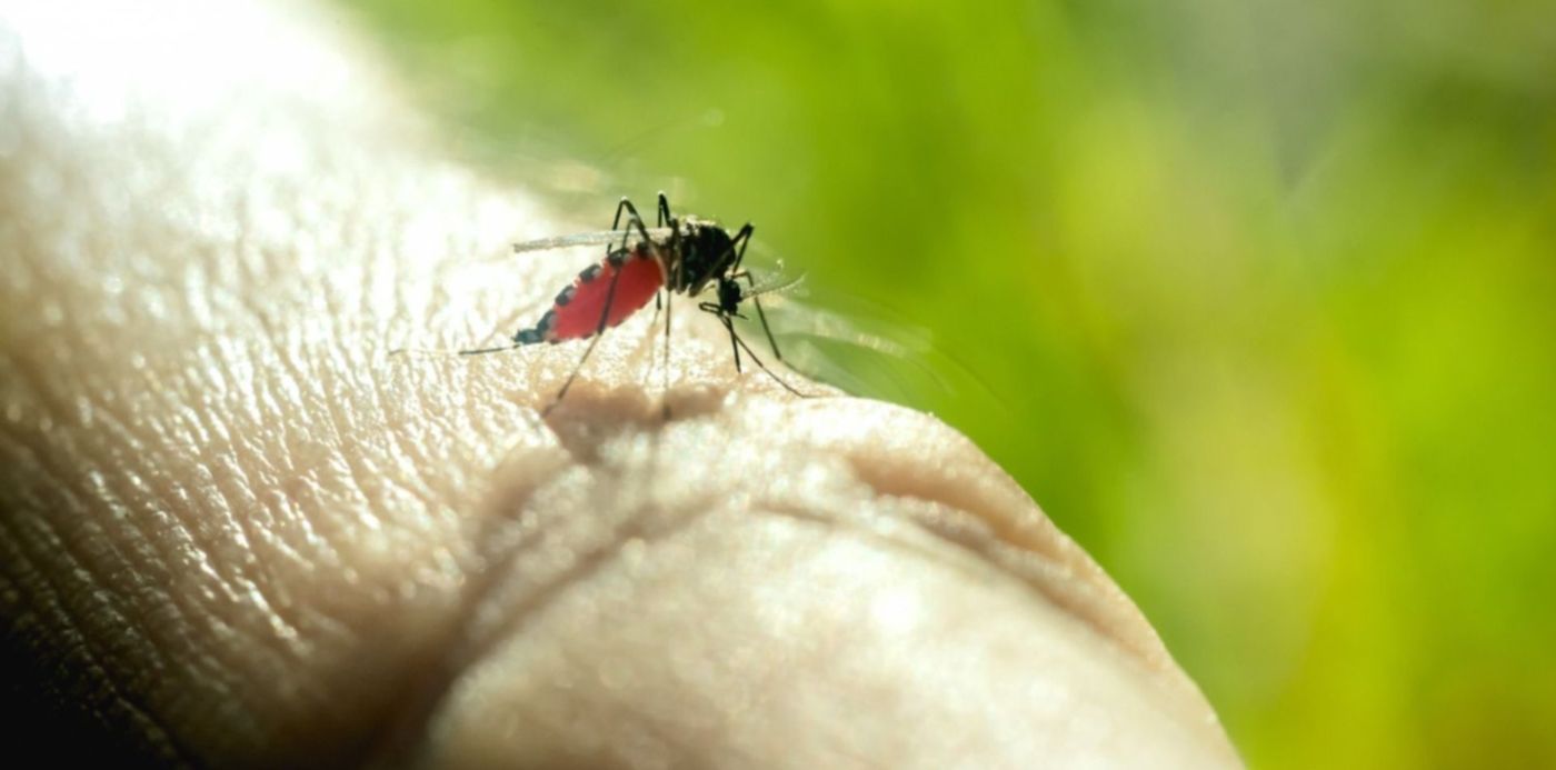 1582765966714.jpg?x=3&y=163&width=1490&height=745&rotate=0&scaleX=1&scaleY=1&ow=1500&oh=1000&&cw=1920&ch=950