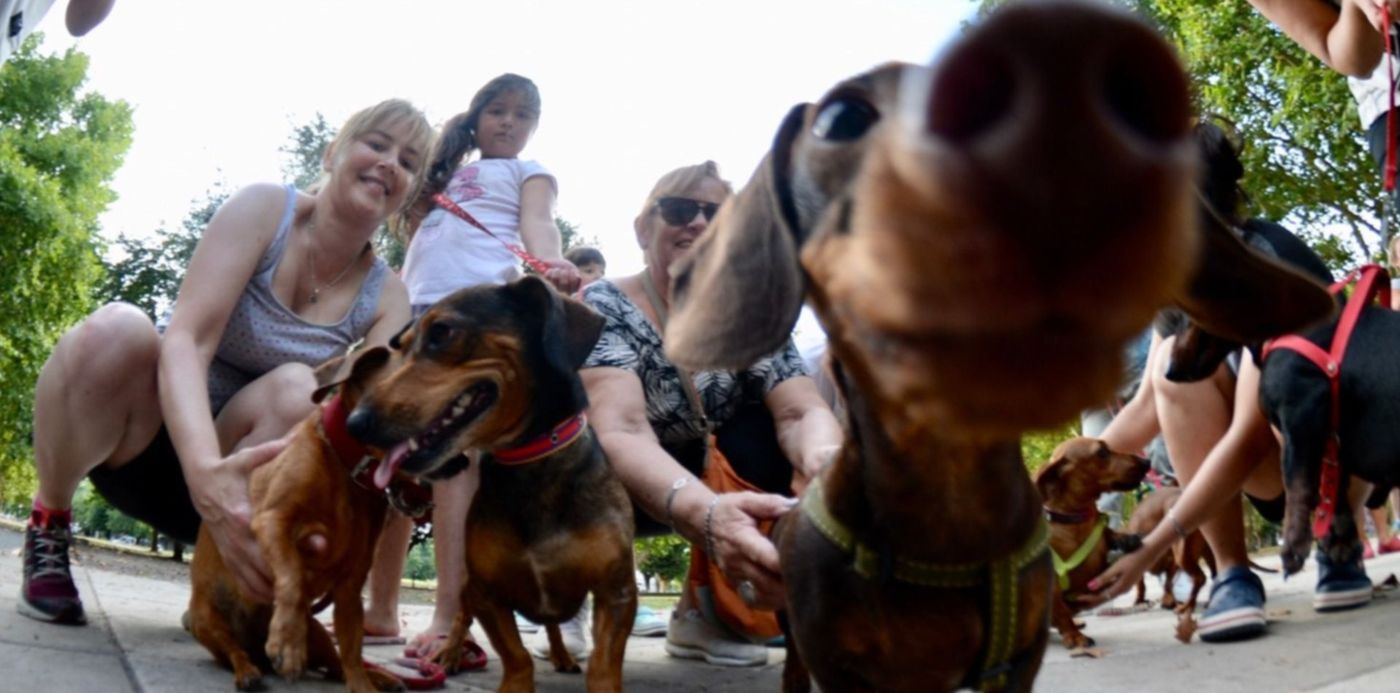 1549062793563.jpg?x=8&y=13&width=1471&height=735&rotate=0&scaleX=1&scaleY=1&ow=1500&oh=967&&cw=1920&ch=950