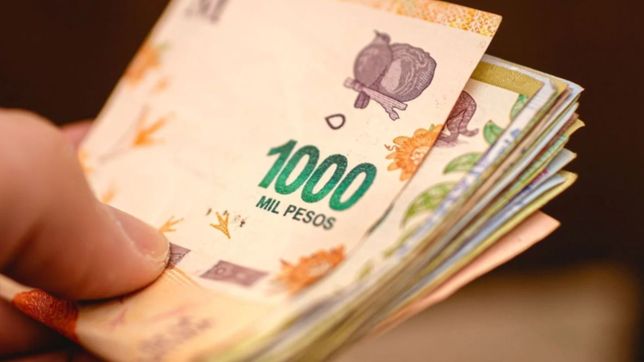 banco provincia: ¿como y quienes pueden acceder a la nueva linea de creditos?