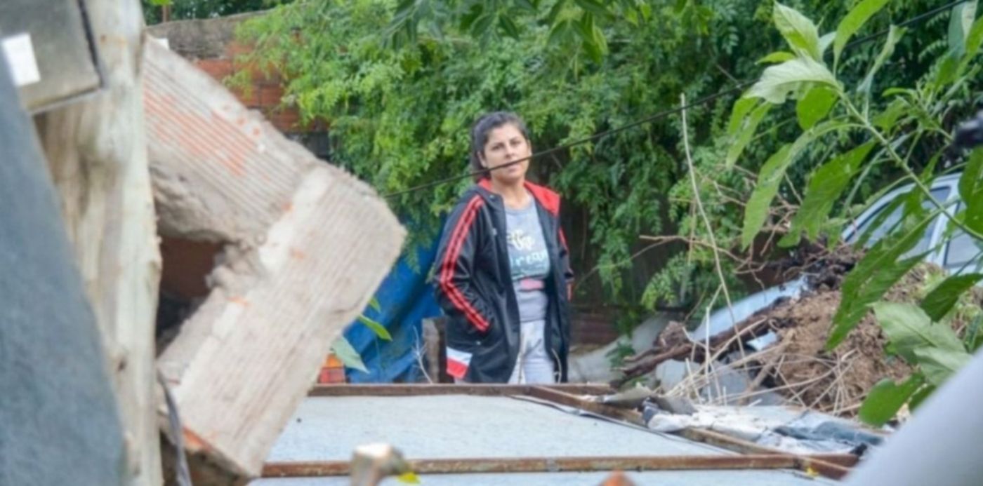 Árbol caído en Los Hornos
