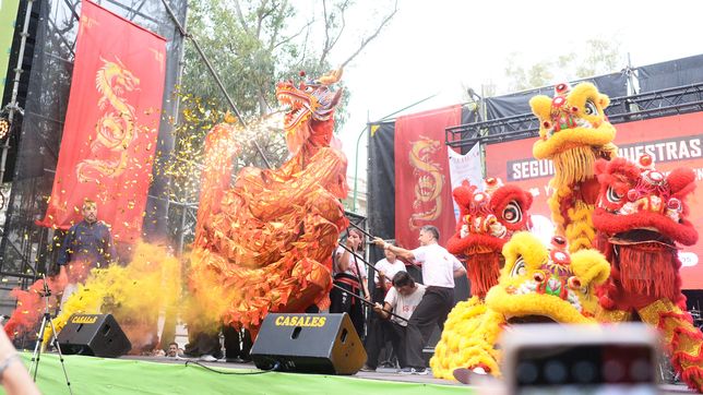 en la previa al ano nuevo chino en la plata, los dragones y leones chinos desembarcan en calle 12