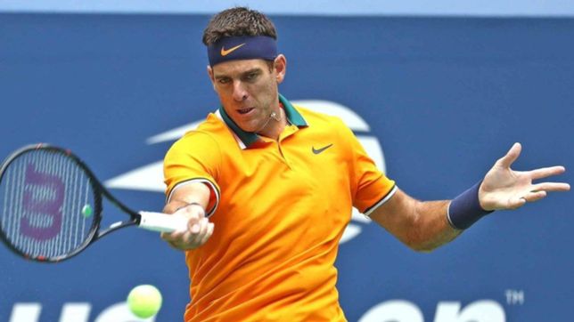 juan del potro derroto a rafael nadal y volvera a jugar la final de us open