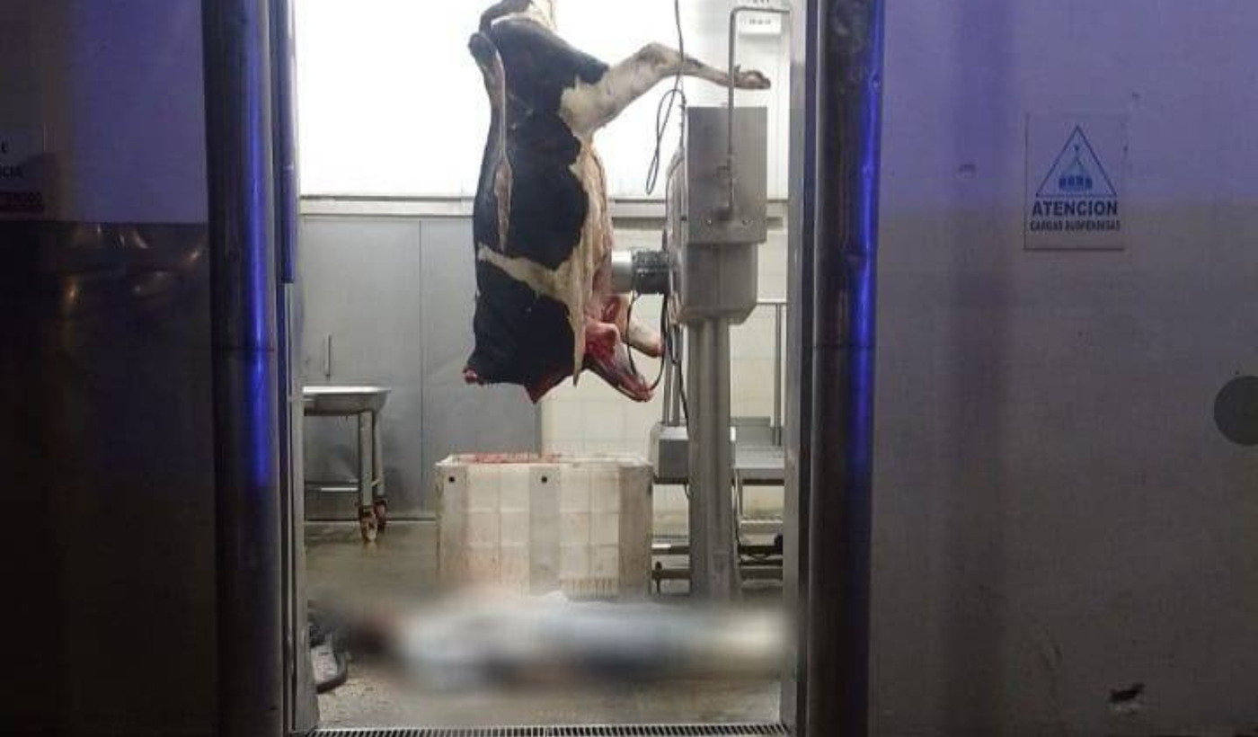 Muerte en el Frigorífico Gorina