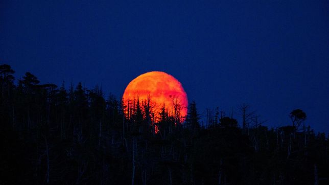 la luna de sangre tenira el cielo con un eclipse lunar total y marcara un evento astronomico inolvidable