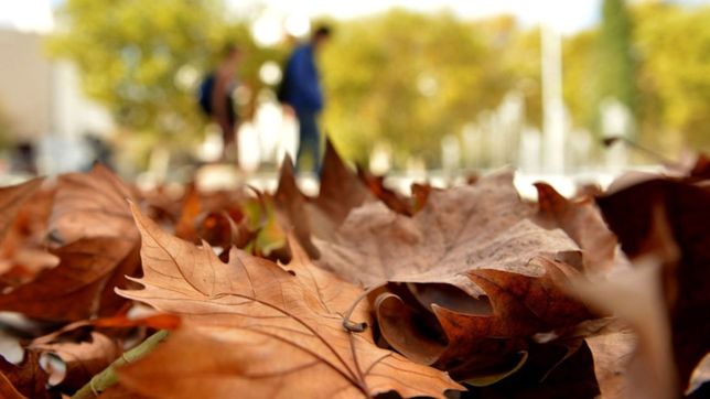 fresco y algo nublado ¿como sigue el clima en la plata?