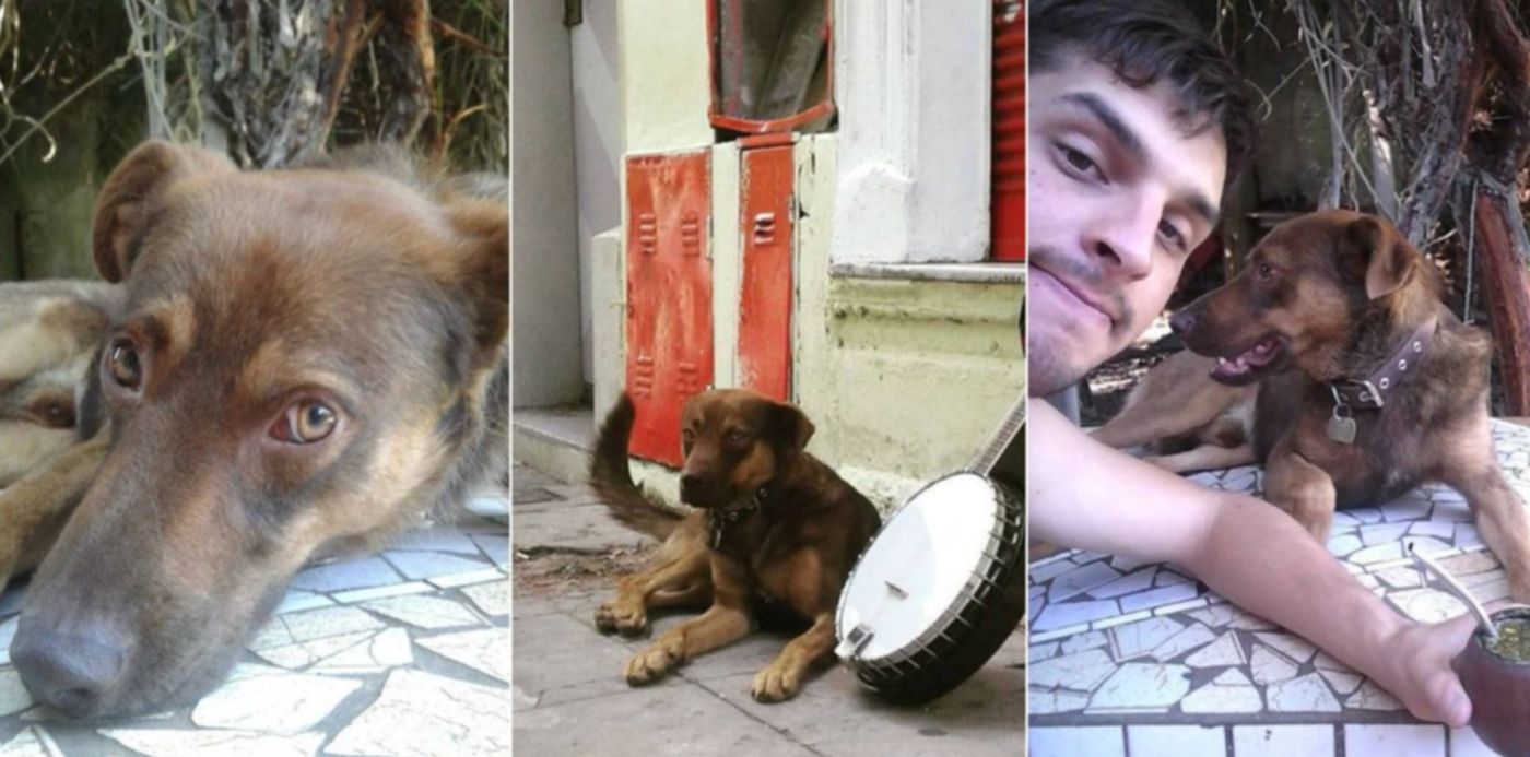 1538007723008.jpeg?scaleX=1&oh=720&x=5&width=1183&rotate=0&ow=1200&y=80&height=592&scaleY=1&&cw=1920&ch=950