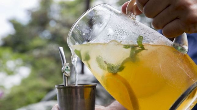 la plata celebra la cultura paraguaya y llega la primera fiesta del terere