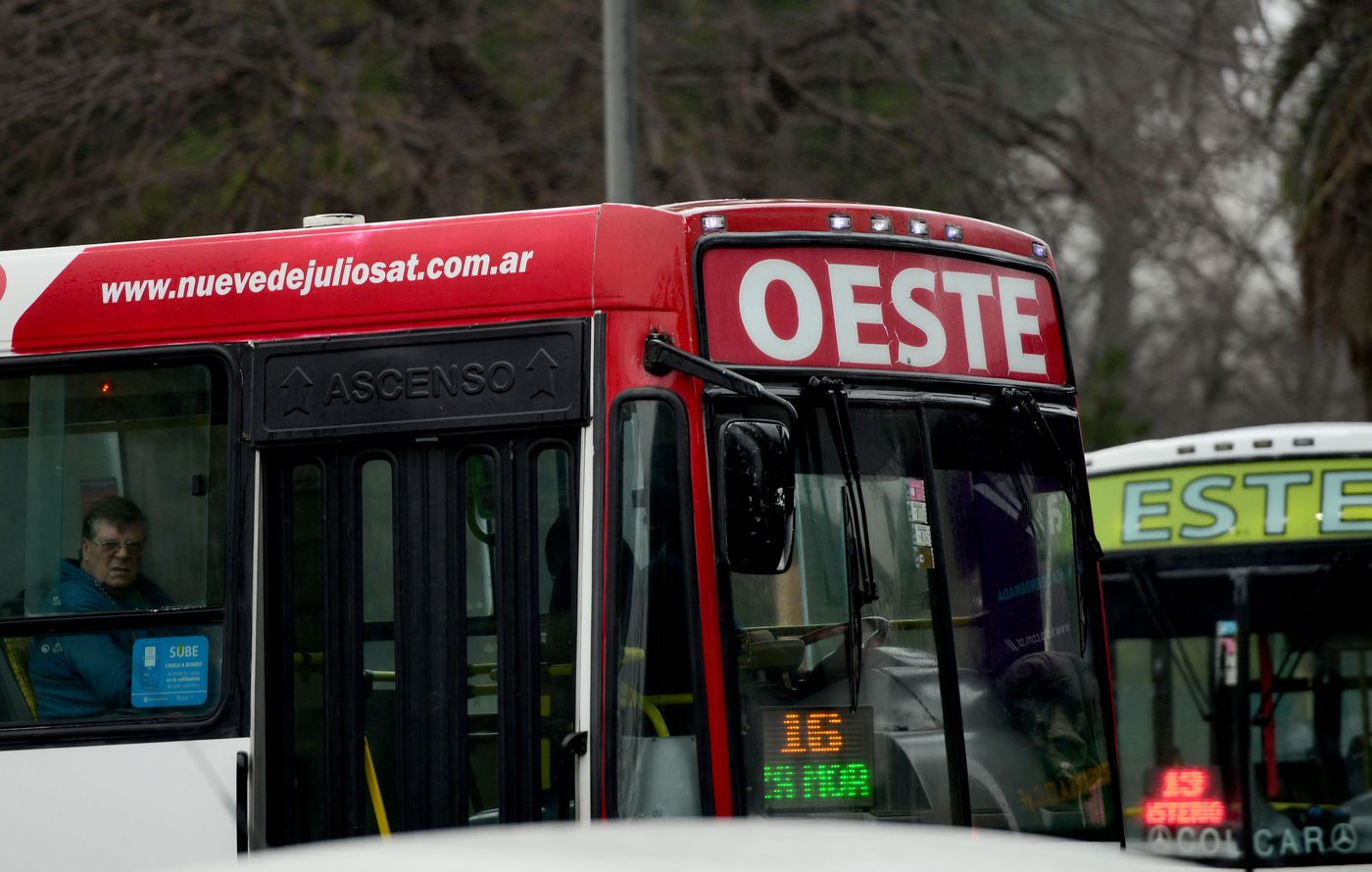 Micros colectivos (19).JPG