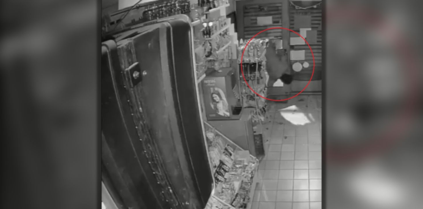 1684270332620.jpg?x=20&y=5&width=1460&height=730&rotate=0&scaleX=1&scaleY=1&ow=1500&oh=742&&cw=1920&ch=950