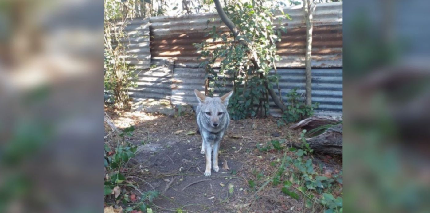 1658754593326.jpg?x=27&y=10&width=1248&height=624&rotate=0&scaleX=1&scaleY=1&ow=1350&oh=650&&cw=1920&ch=950