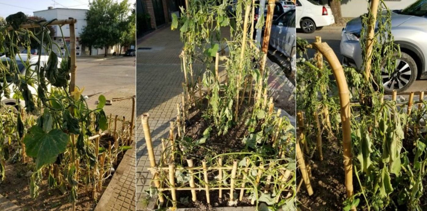 1579460702036.jpg?width=1066&rotate=0&scaleX=1&oh=540&y=4&height=533&scaleY=1&ow=1200&x=60&&cw=1920&ch=950