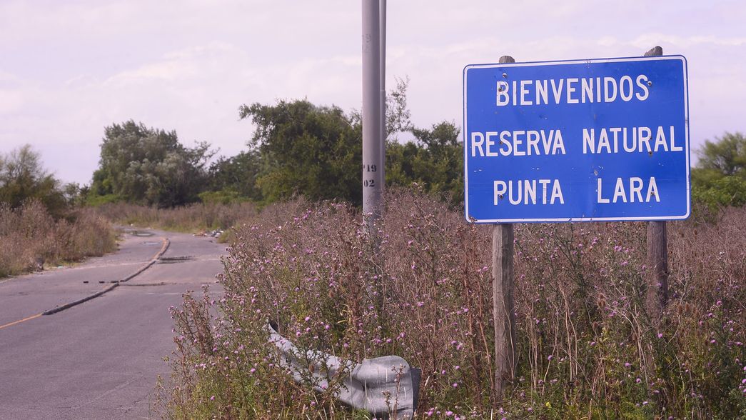Un fallo judicial frenó las obras de renovación del histórico Camino Negro
