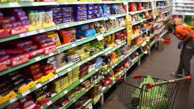 ¿cuales son los productos de la canasta basica que mas aumentaron en la plata?