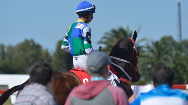 asi se vivio la previa del gran premio dardo rocha en el hipodromo de la plata