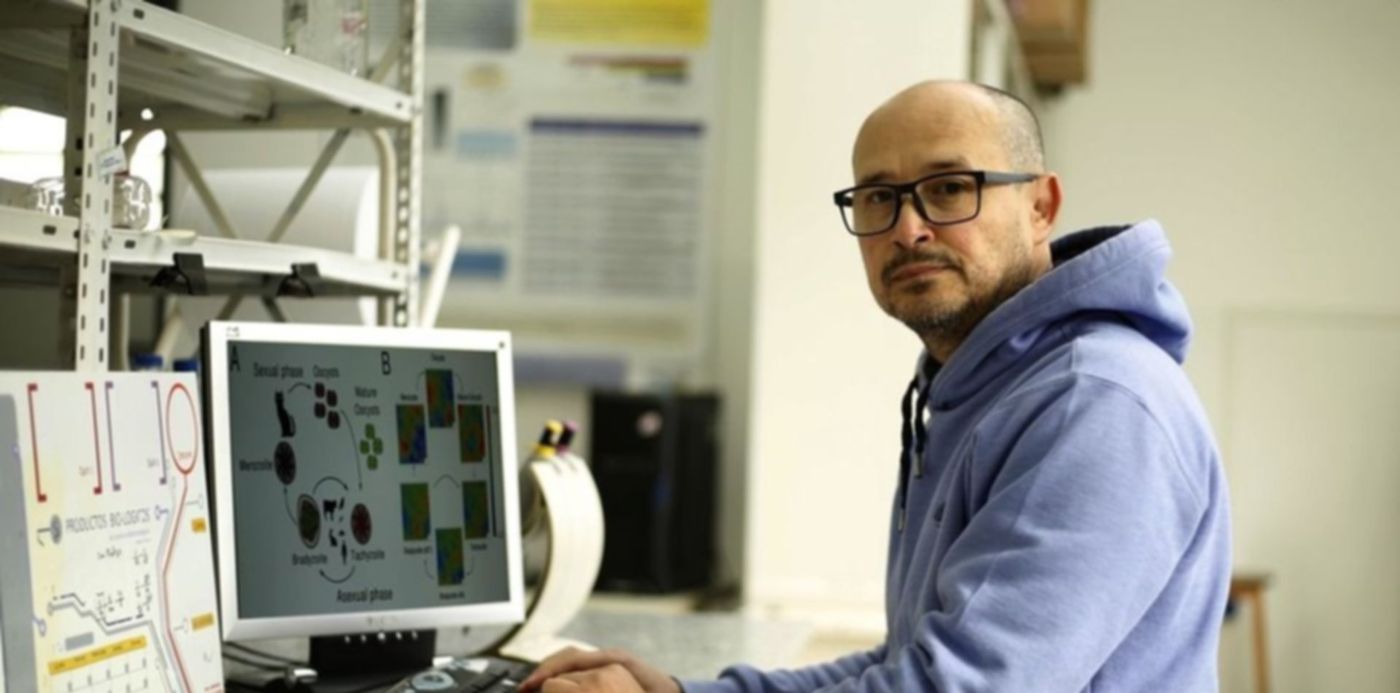 1593108062353.jpg?&cw=1920&ch=950