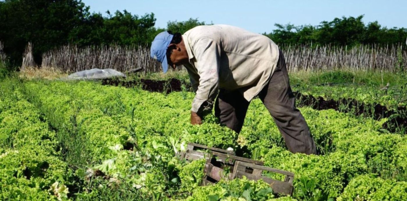 1652200530656.jpg?x=0&y=67&width=1520&height=760&rotate=0&scaleX=1&scaleY=1&ow=1500&oh=1000&&cw=1920&ch=950