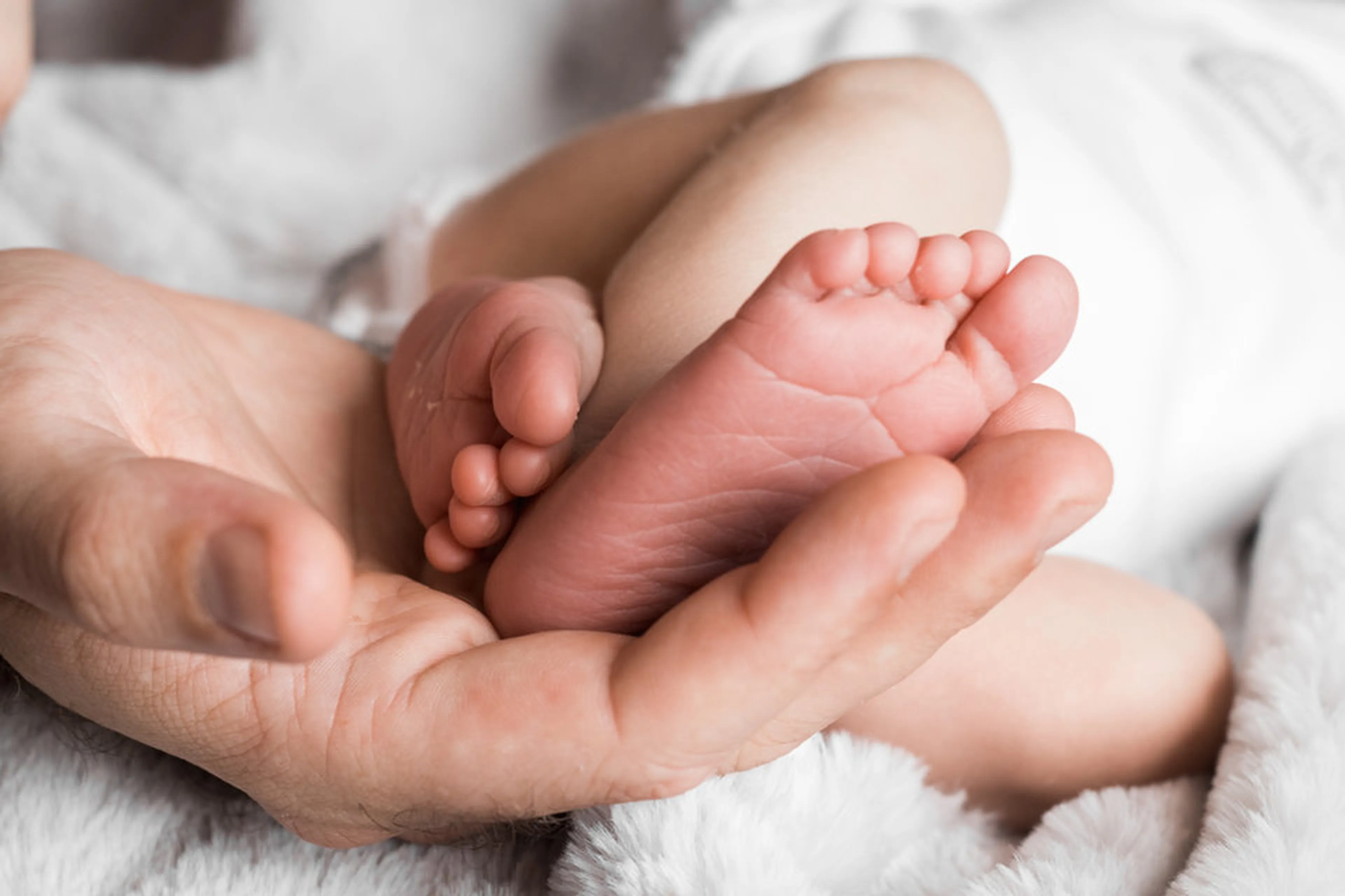 Licencia parental2.jpg