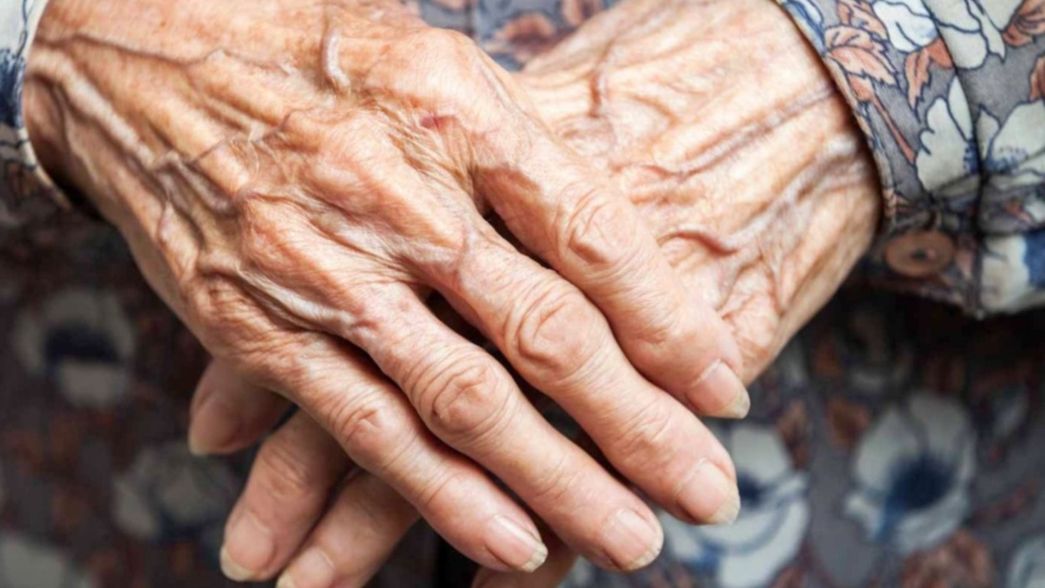 Ladrones golpearon a una abuela de 74 años para robarle en La Plata