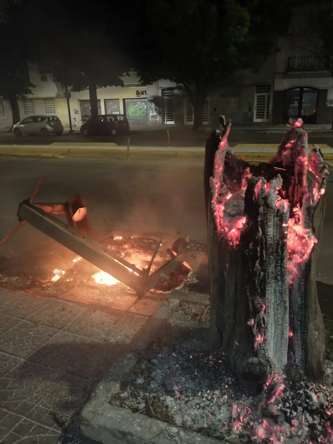 El incendio de un árbol y los restos del contenedor en La Plata