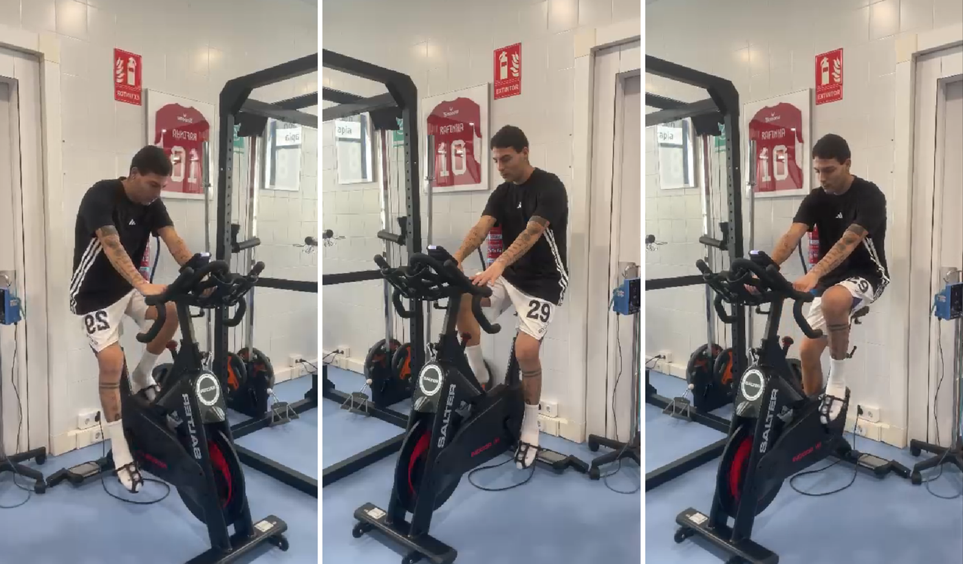 Mammini recuperación portada