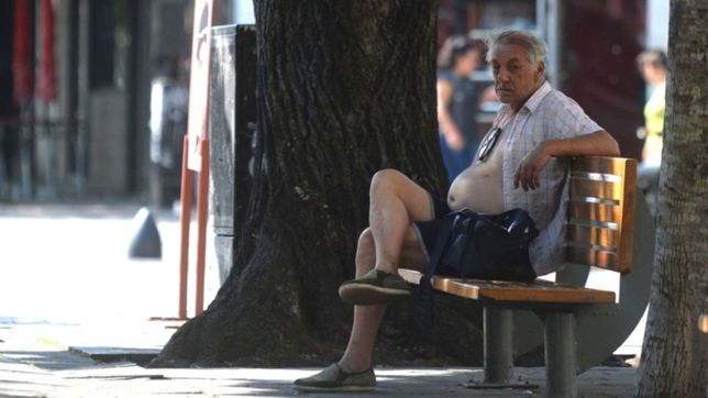 sol, maxima de 30°c y humedad: ¿hasta cuando va a seguir el calor en la plata?