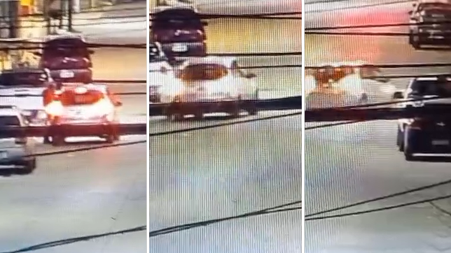 un hombre discutio con su expareja en ensenada y la arrastro con su auto por cuatro cuadras