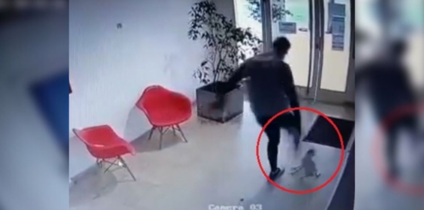 1622553573281.jpg?x=44&y=9&width=1262&height=631&rotate=0&scaleX=1&scaleY=1&ow=1350&oh=650&&cw=1920&ch=950