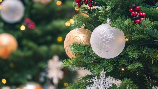 gollan descarto que se vaya a poder viajar para navidad y ano nuevo por la pademia