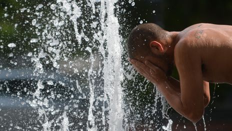 Expertos anticipan que el verano en La Plata será más seco y caluroso de lo habitual Expertos anticipan que el verano en La Plata será más seco y caluroso de lo habitual