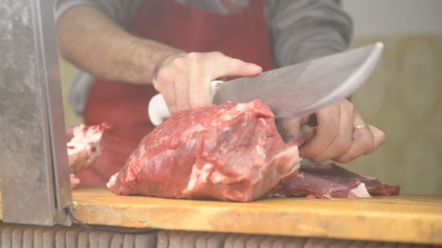 advierten que las carnicerias de la plata estan en crisis por el precio de los cortes
