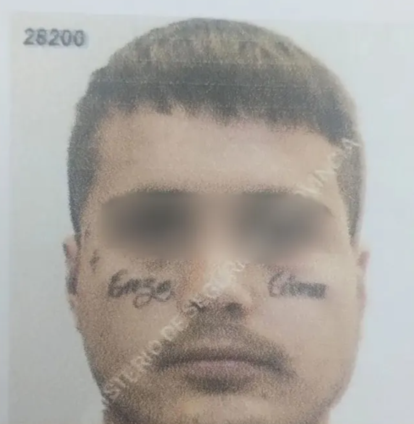 Los tatuajes en el rostro de uno de los dos delincuentes fueron claves para detenerlos tras el robo en La Plata