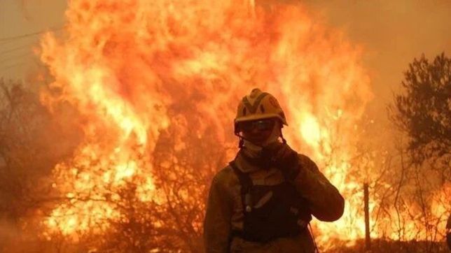 mas de un millon de hectareas en argentina fueron arrasadas por el fuego en 2020