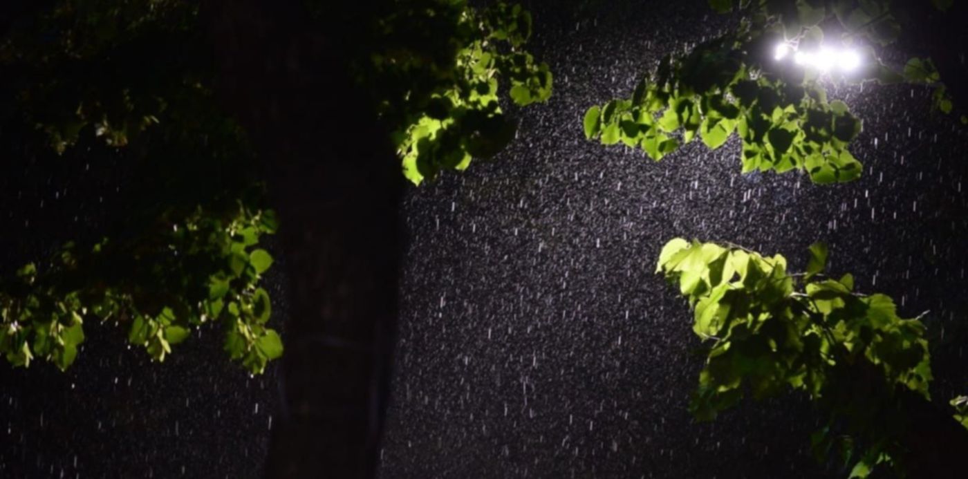 1551997429119.jpeg?scaleX=1&scaleY=1&ow=1232&rotate=0&oh=820&x=6&y=49&width=1221&height=610&&cw=1920&ch=950