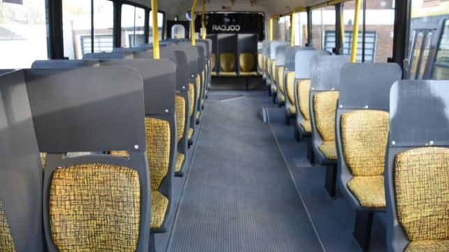 comenzo el paro de micros en la plata: ¿cuales son las lineas afectadas?